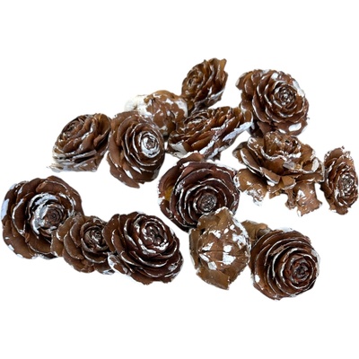 Cédrové ruže 5-7cm 100g - zabielené