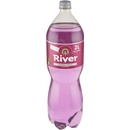 River Forest Fruit 2 l