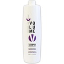 Compagnia Del Colore Volume Shampoo na jemné vlasy 1000 ml