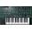 Roland SYSTEM-1 Key