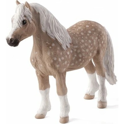 Mojo Welshský pony