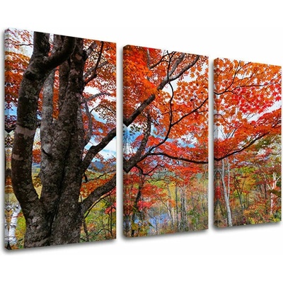 Obraz na stenu STROMY - 90x60 cm