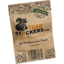 Seedstockers BCN Critical XXL FAST semena neobsahují THC 3 ks