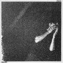 D'Angelo - David August LP