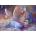 Grafika Art Puzzle - Puzzle Wall: Angel of Peace - 500 piese