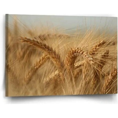 Sablio Obraz Klasy 2 - 60x40 cm