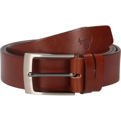 Pánský kožený opasek Belt Toro Viktor hnědá