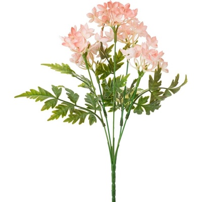 ZELEŇ DROB.KVIETY LOSOSOVÉ 28CM