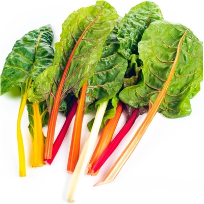 BIO Mangold duhový - Beta vulgaris - bio osivo mangoldu - 45 ks