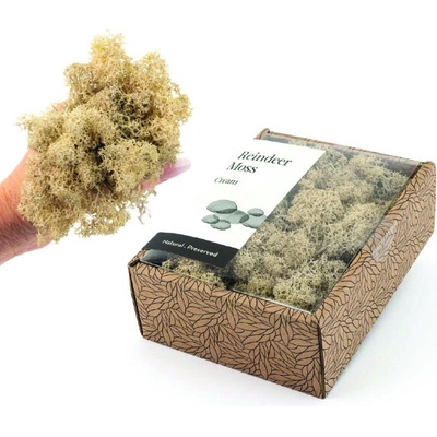 KreaBox - Krémový lišajník