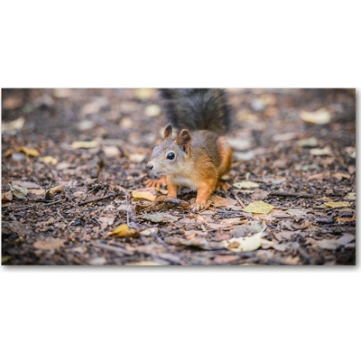 Foto-obraz na skle horizontálne tropická pláž 100x50 cm