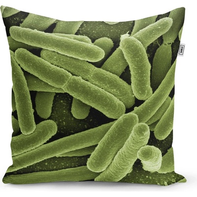Sablio vankúš Bakterie 60x60