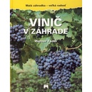 Vinič v záhrade