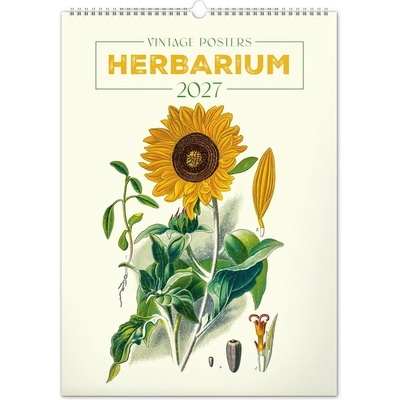 NOTIQUE nástěnný Vintage plakáty herbář 33 × 46 cm 2027