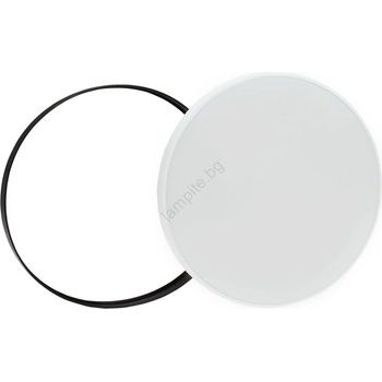 Image 1 of Wojnarowscy Nymphea WJ0420