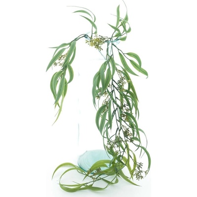 Zavěsný Blahovičník - Eukalyptus zelený délka 89 cm