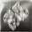Kungs - Out Loud (CD) (0602488104784)