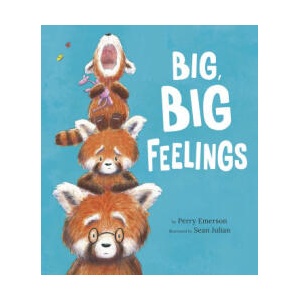 Big, Big Feelings | Sean Julian (ISBN: 9781664300347)