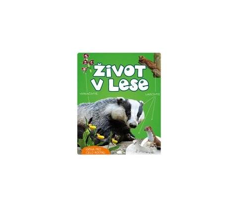 Život v lese