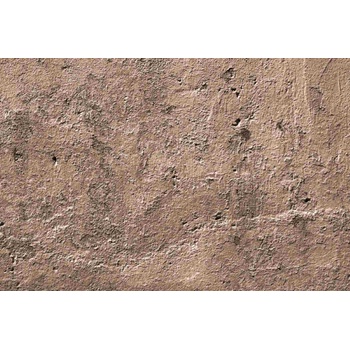 DIMEX ART s. r. o Флизелинов фототапет детайли от лющеща се стена 375 x 250 см