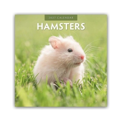 Hamsters Hamster 16-Monats 2027