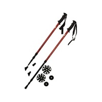Nordic Walking palice