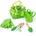 Bigjigs Toys Градински комплект инструменти в зелена платнена чанта (BJ279)
