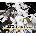 The Caligula Effect: Overdose