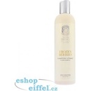 Natura Siberica Copenhagen Vitaminový šampon Zmrazené bobule 400 ml