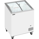TEFCOLD IC202SCEB