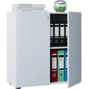 V cm Vandol Mini