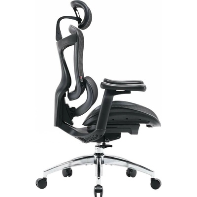 Sihoo Doro C300 L Mesh
