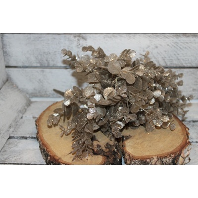 Autronic Eukalyptus Barva: Šampaň