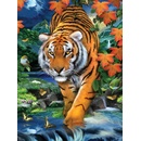 Malování podle čísel Tygr