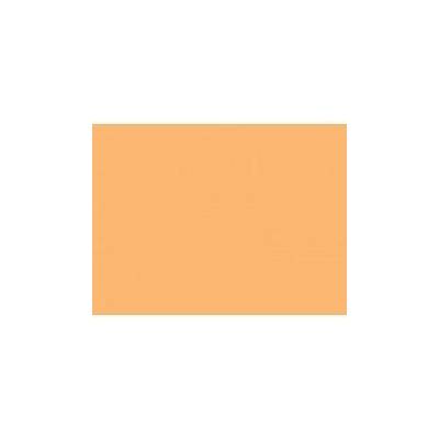 Rosco 204 Full CT orange