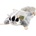 Rappa Плюшена играчка Rappa Еко приятели - Летяща катерица, 35 cm (223523)