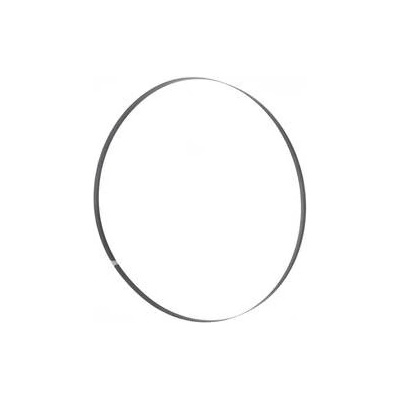 Holzmann Pilový pás 3454x20x0, mm T 8 mm BSB470B20 Sägeblatt