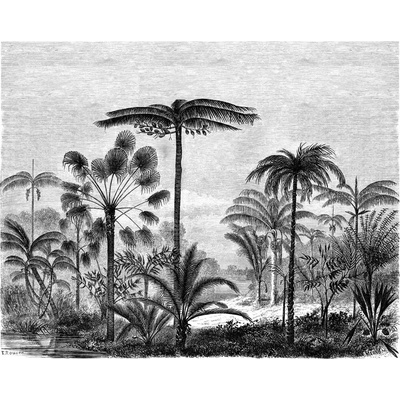 Esta Home 158952 Vliesová čiernobiela fototapeta džungľa palmy Paradise rozmery 350x279cm