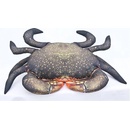 Gaby Vankúš Krab bahenný 60cm