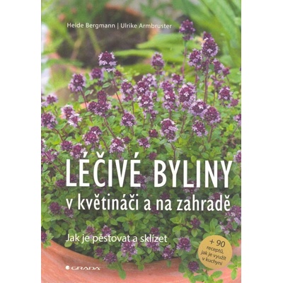 Léčivé byliny v květináči a na zahradě