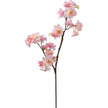 Florissima! Vetva čerešňa ružová 64cm