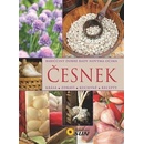 Česnek
