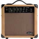 Stagg 10 AA