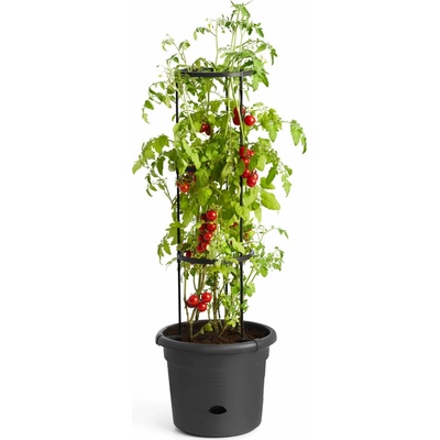 elho Kvetináč na paradajky green basics 33 cm - black