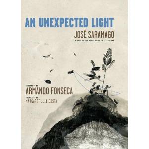An Unexpected Light (ISBN: 9781644213407)