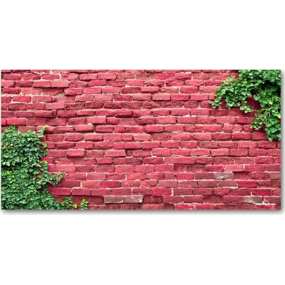 Foto obraz fotografie na skle murovaný múr 100x50 cm