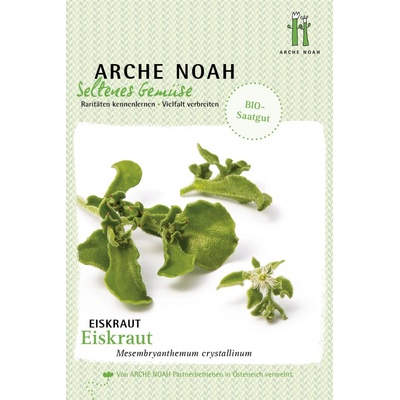 Arche Noah Bio poludňovka trblietavá/kosmatec kryštálový 1 bal.
