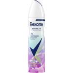 Rexona Thermocool Frozen Acai & Jasmine Антиперспирант Дезодорант 150ml (8720181819834)