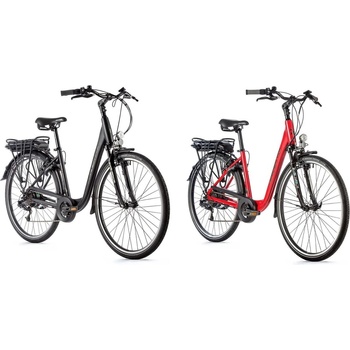 Leader Fox Park City 2022