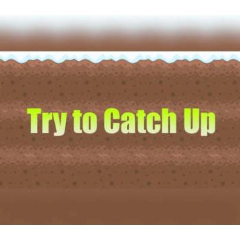 Try to Catch Up